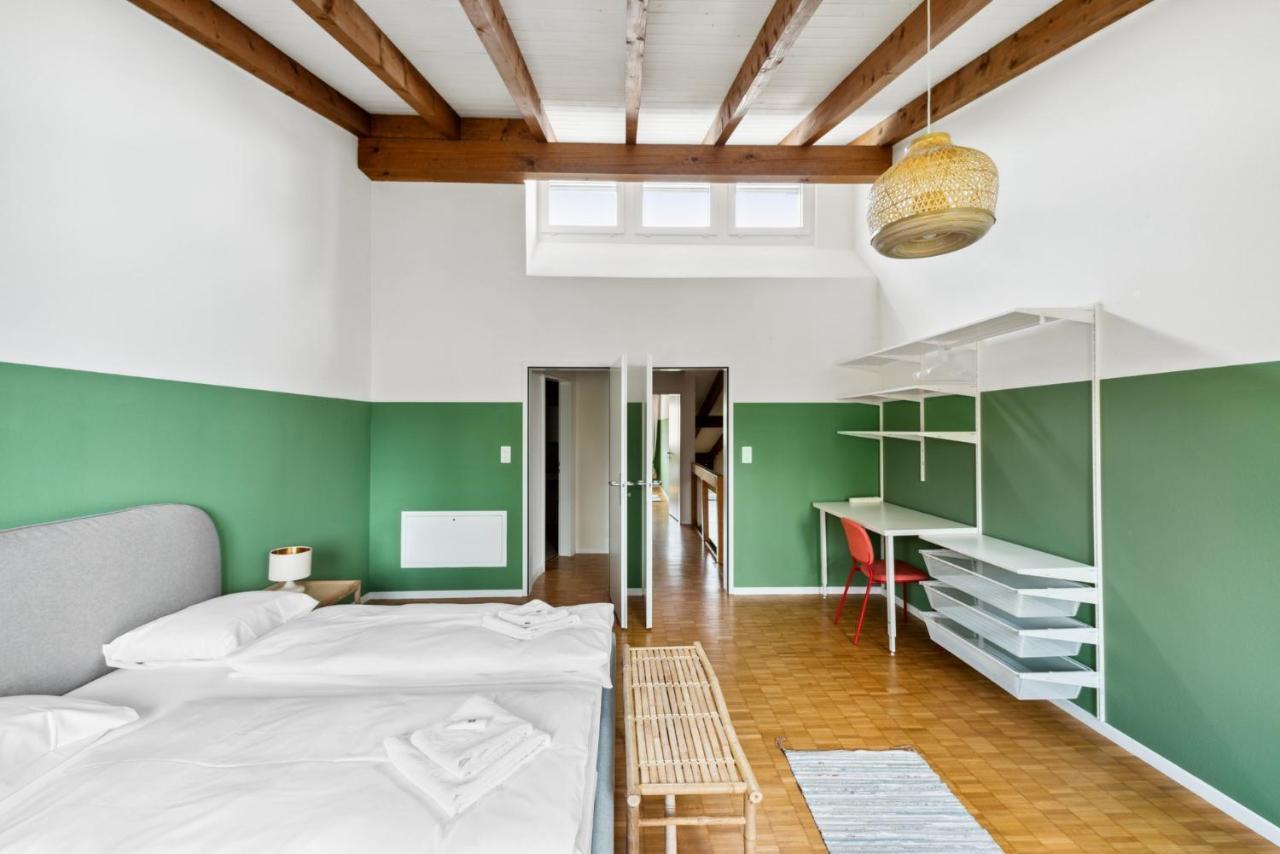 Cozy Apartments Close To The Center Of Zurich Forch Buitenkant foto