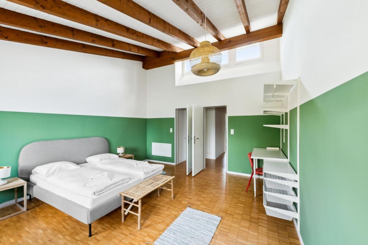 Cozy Apartments Close To The Center Of Zurich Forch Buitenkant foto