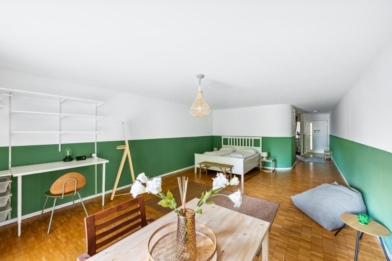 Cozy Apartments Close To The Center Of Zurich Forch Buitenkant foto