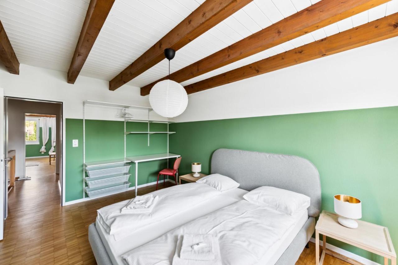 Cozy Apartments Close To The Center Of Zurich Forch Buitenkant foto