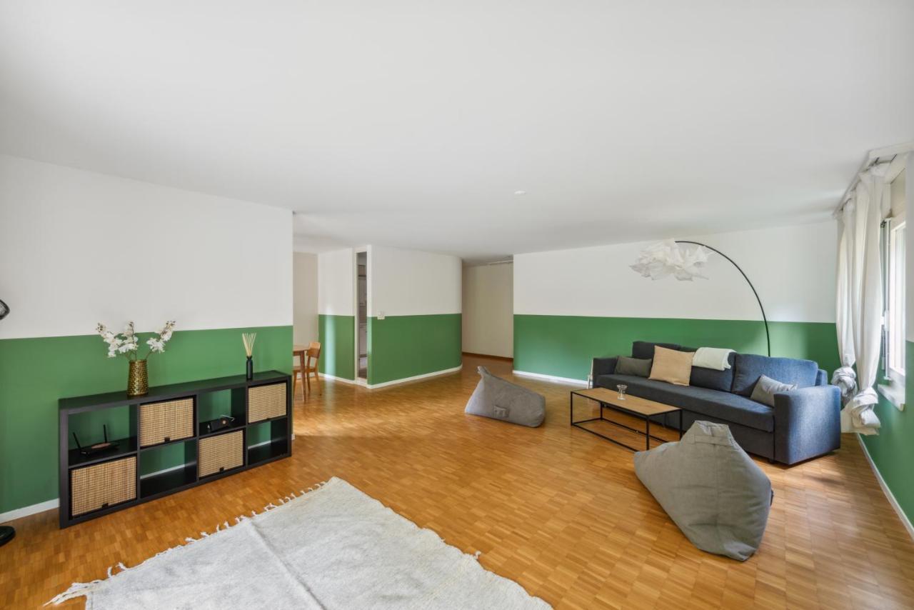 Cozy Apartments Close To The Center Of Zurich Forch Buitenkant foto
