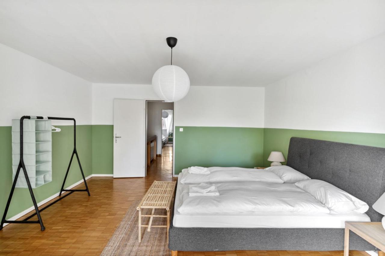 Cozy Apartments Close To The Center Of Zurich Forch Buitenkant foto